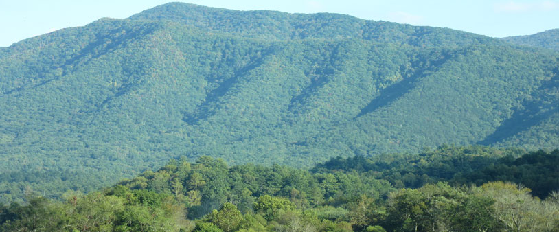 Great Smoky Mountains Cades Cove