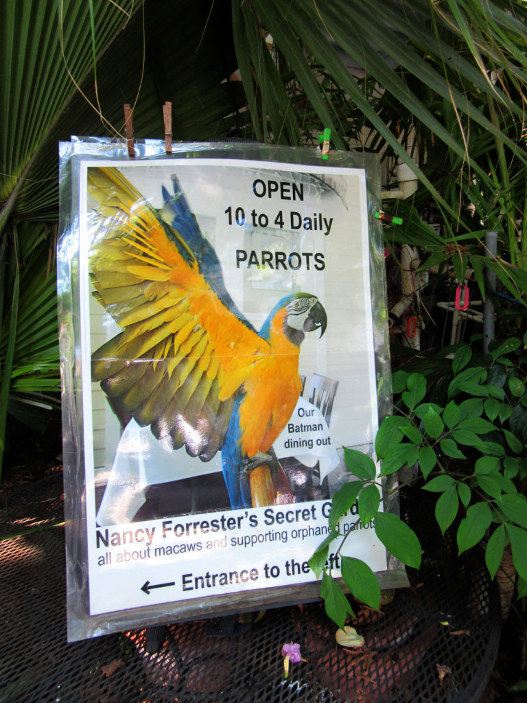 Doen in Key West: Breng een bezoek aan Nancy Forrester's Secret Garden 