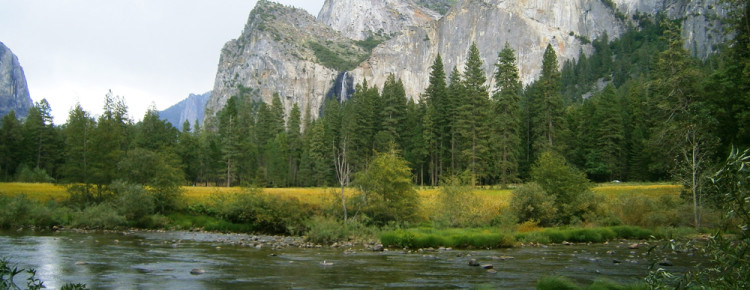 Uitzich Yosemite National Park in Amerika