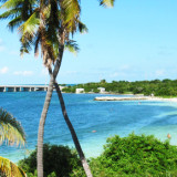 11 redenen waarom Florida de ideale vakantiebestemming is