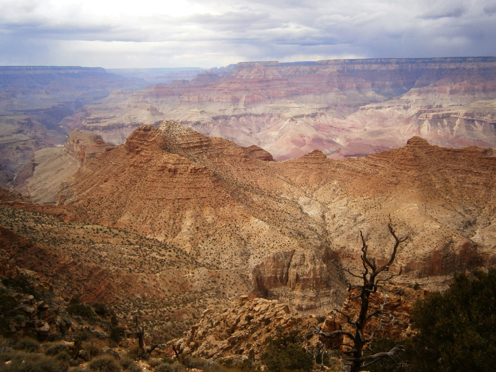 Grand-Canyon-Amerika-zuidwesten-rondreis