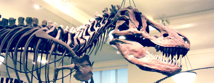 museum in new york