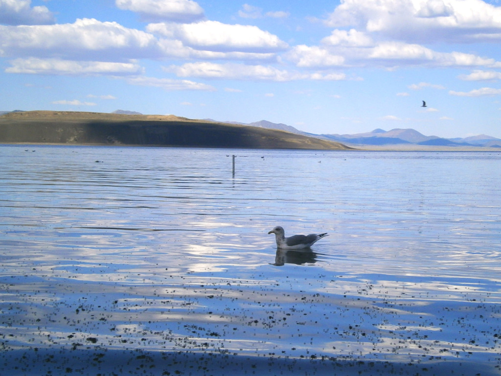 Mono-Lake in Californïe