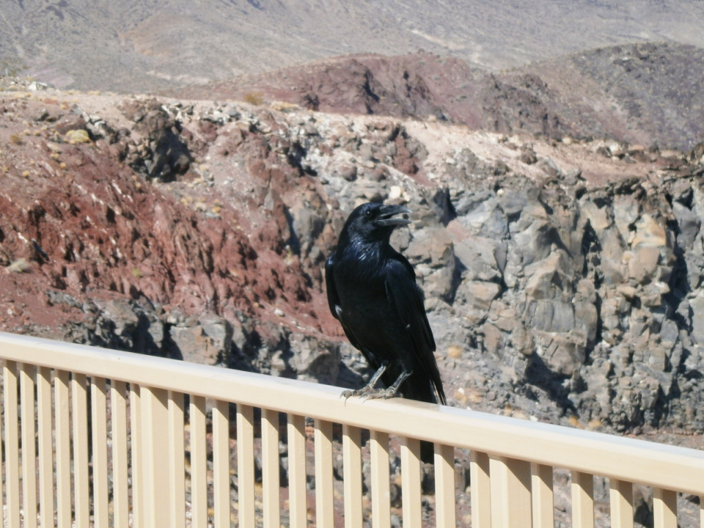 heet-in-Death-Valley-Amerika