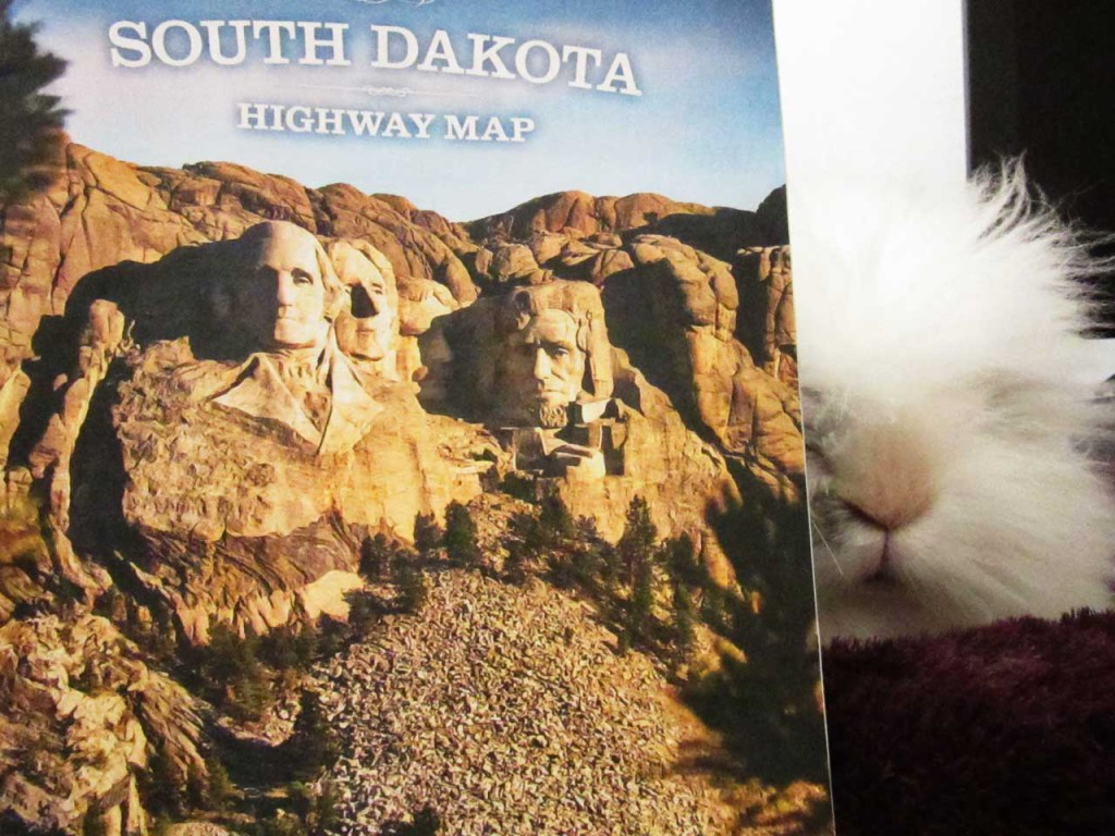 south-dakota-amerikablog-fluffy