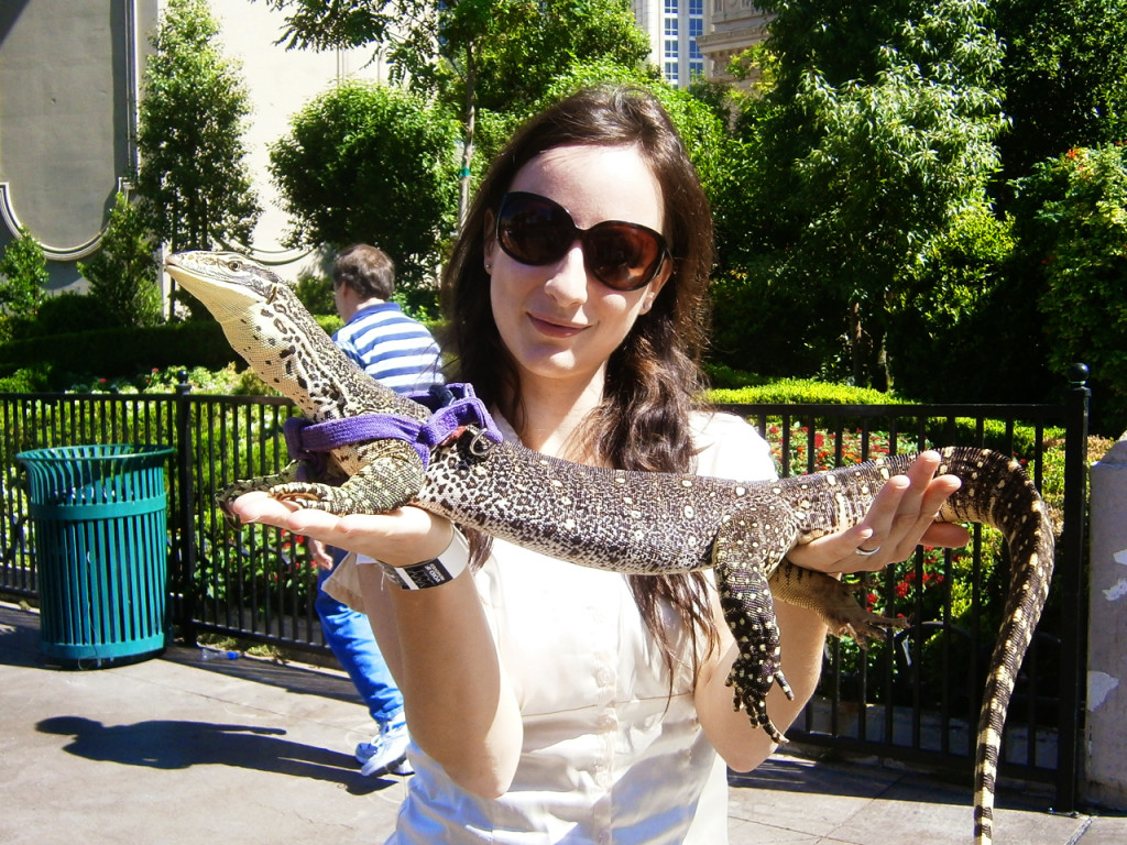 Litlle-Vegas-in-Las-Vegas.