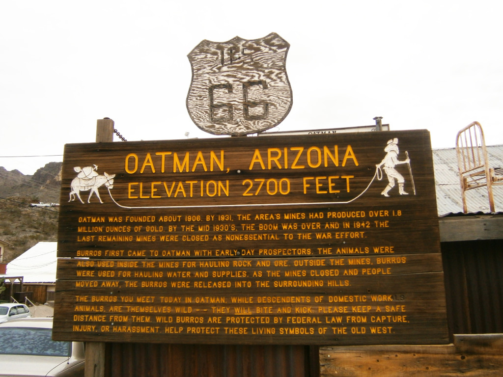 Oatman-Arizona-Amerika-rondreis