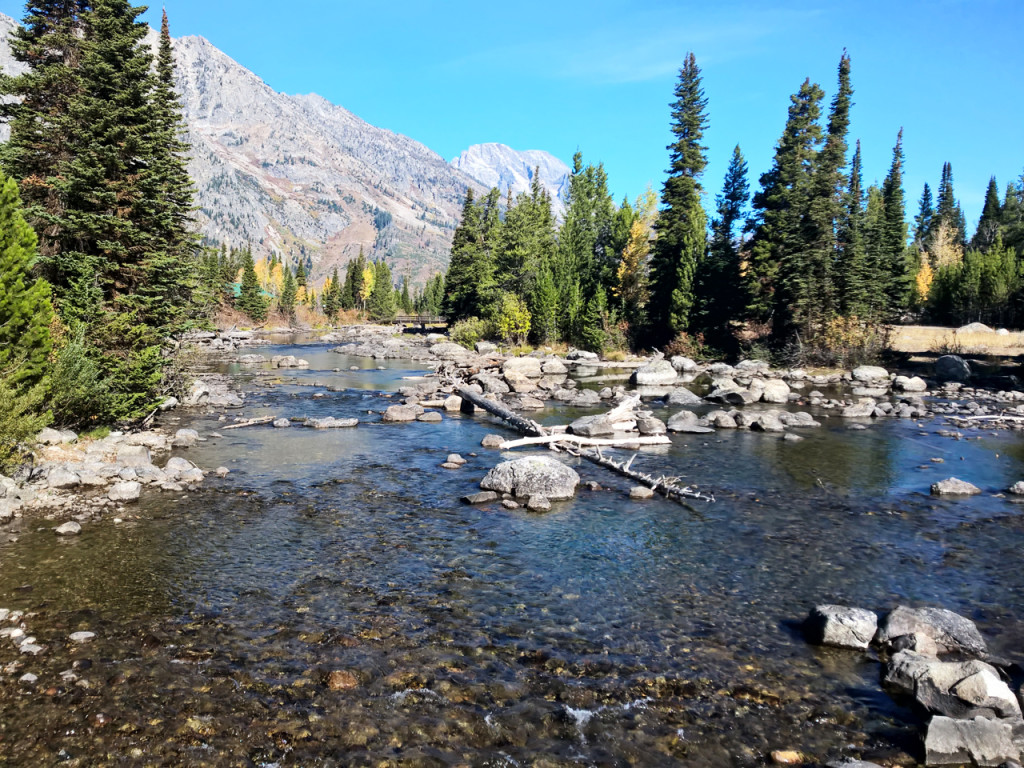 jenny-lake-surroundings