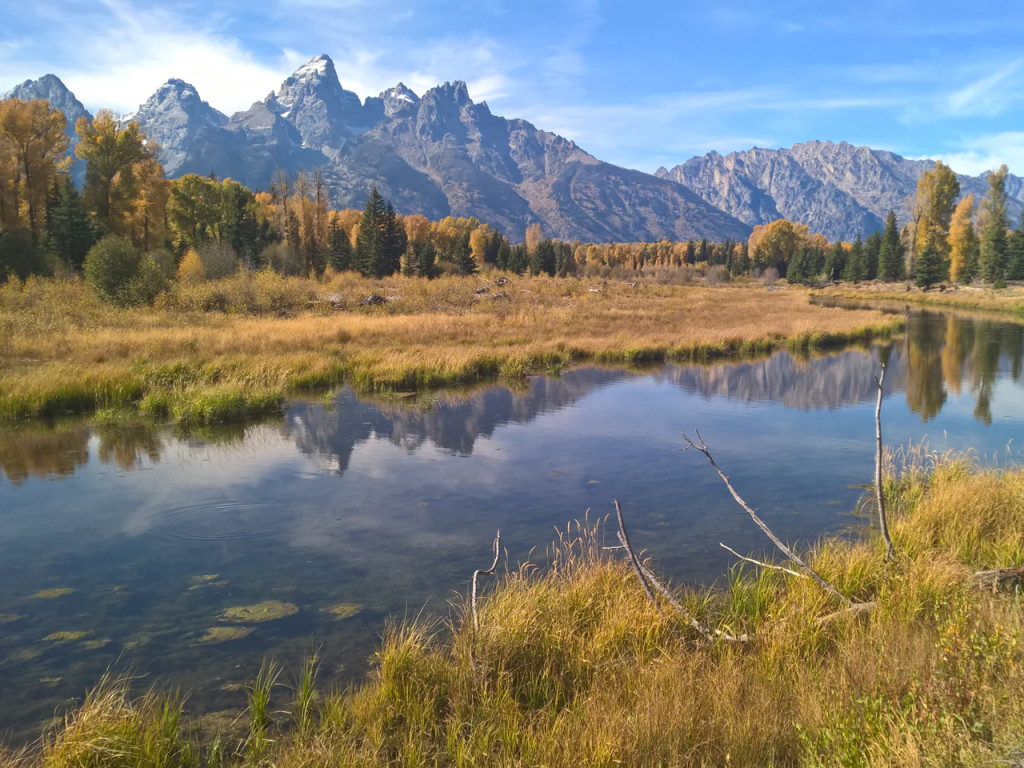 schwabacher-landing