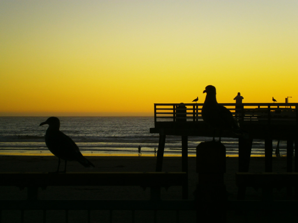 zonsondergang-Amerika-pier