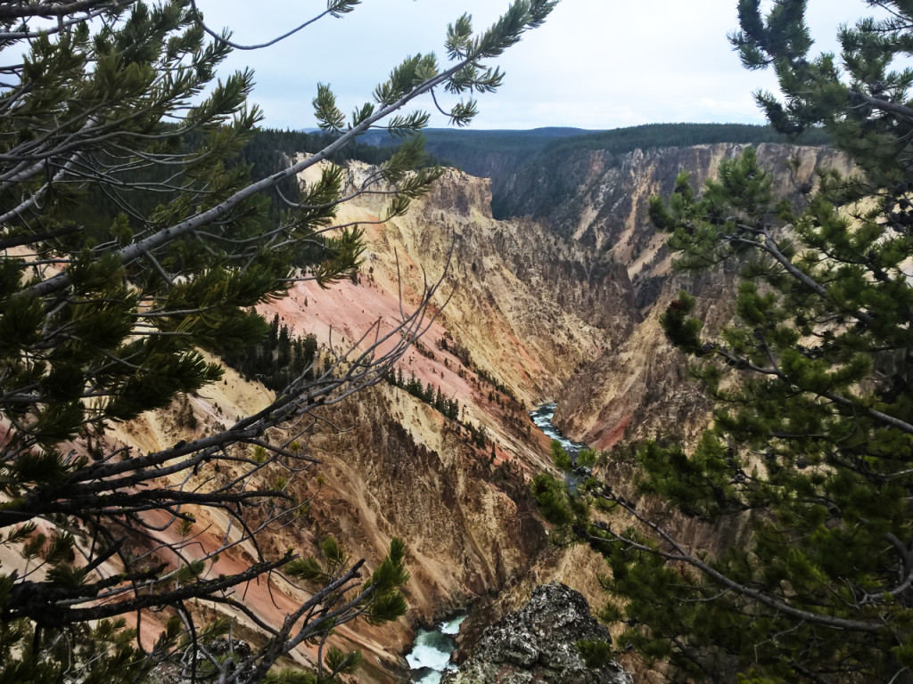 canyon-in-yellowstone