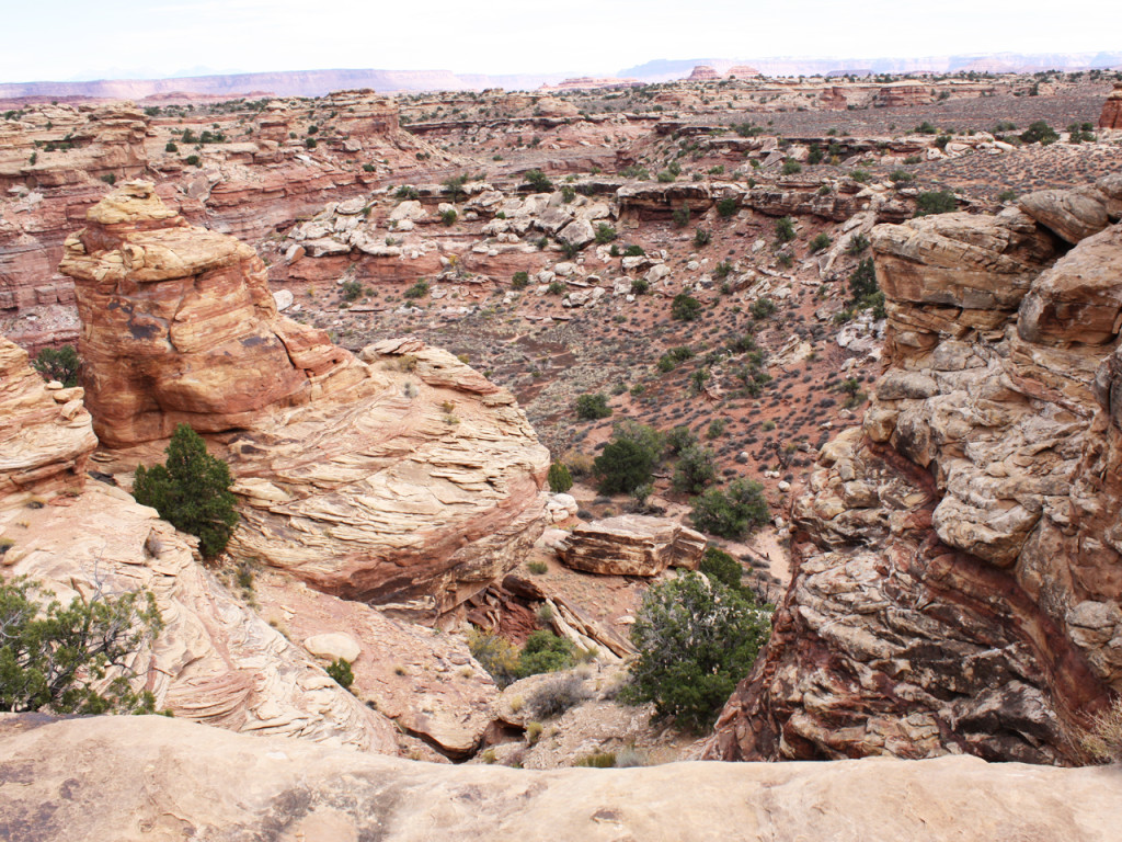 canyonlands-needles-uitzicht