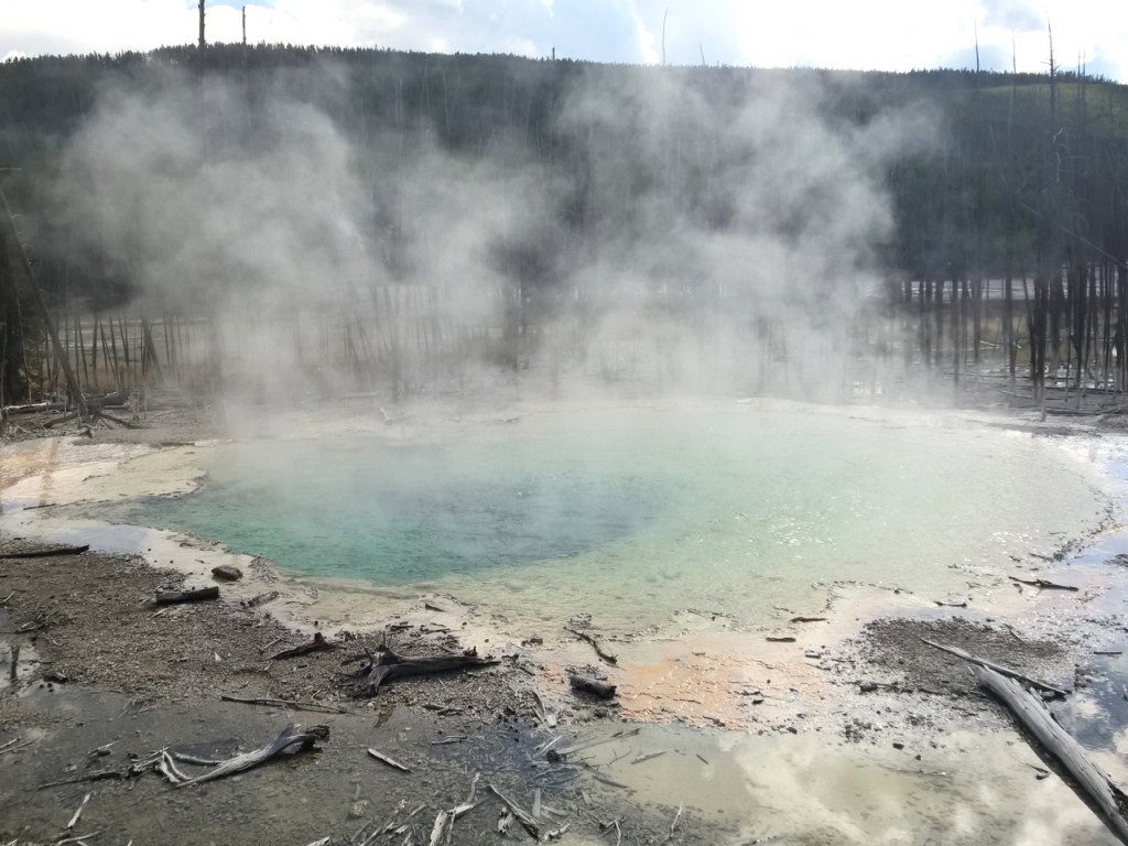 norris-geyser-basin-yellowstone