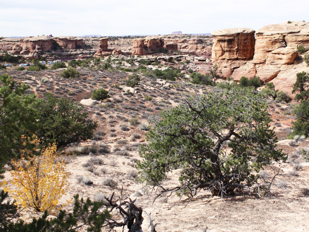 slickrock-trail-canyonlands