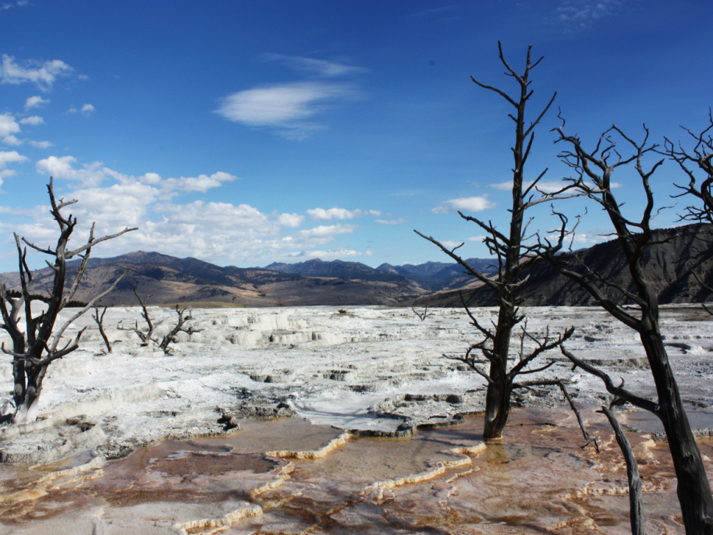 yellowstone-national-park