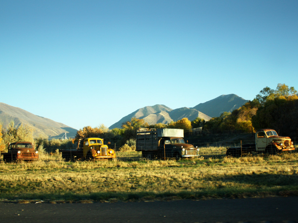 amerika-rondreis-website