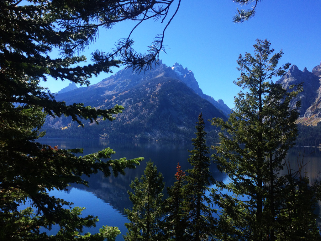 jenny-lake-overlook-grand-teton