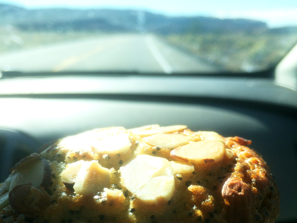 muffin-in-amerika