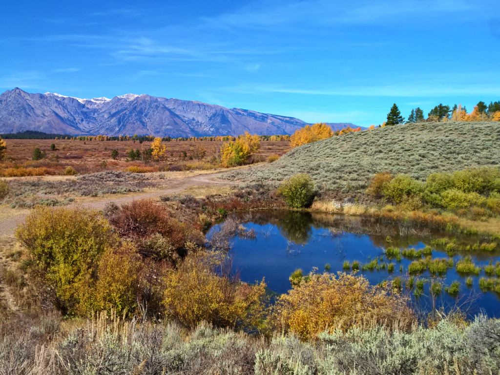 willow-flats-overlook-grand-teton-national-park-amerika-blog