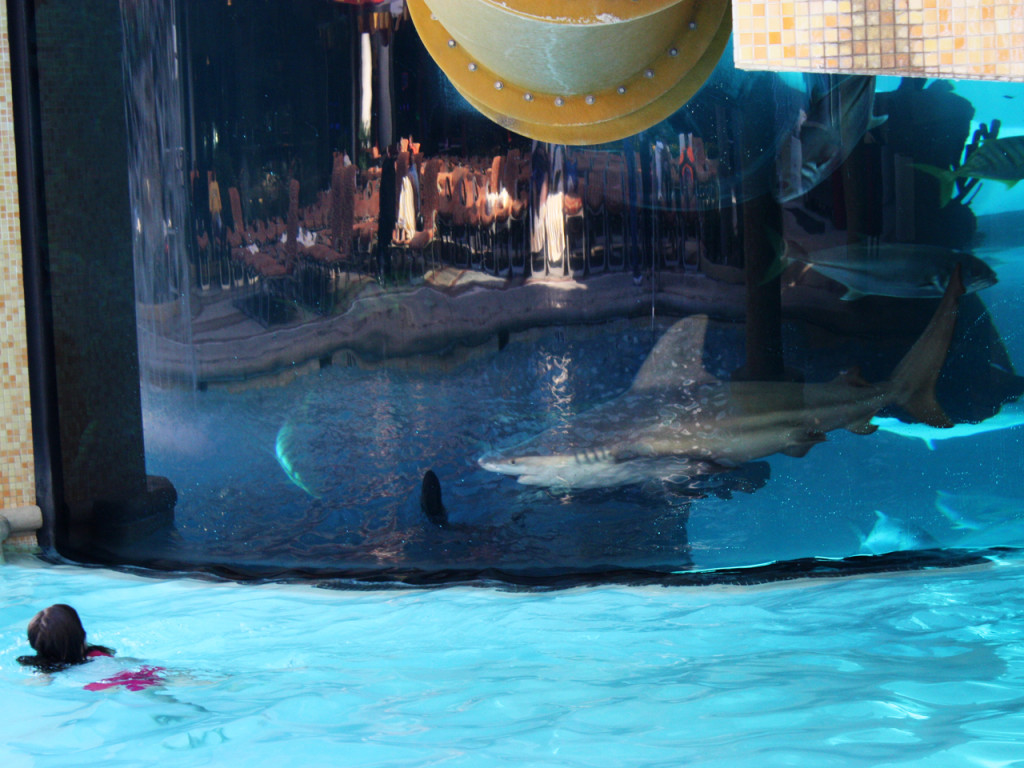 zwembad-las-vegas-met-haaien-amerika-reisblog