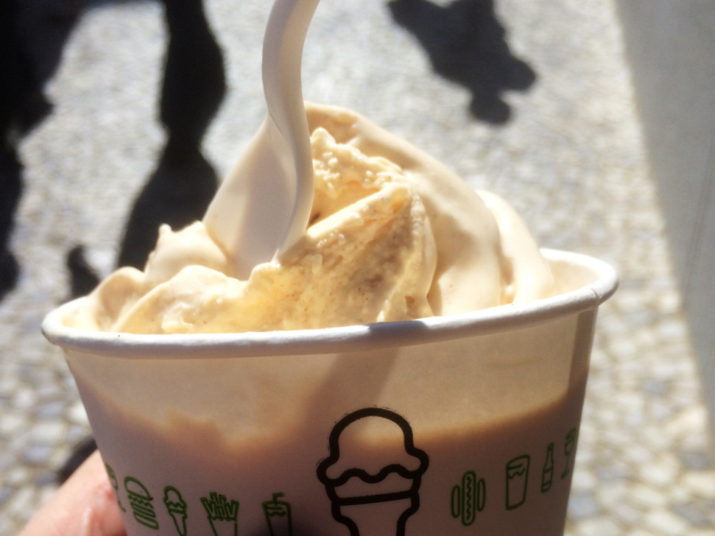 eten-in-amerika-shake-shack
