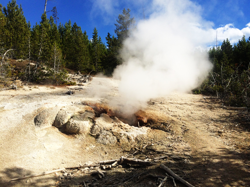 geyser-norris Yellowstone National Park