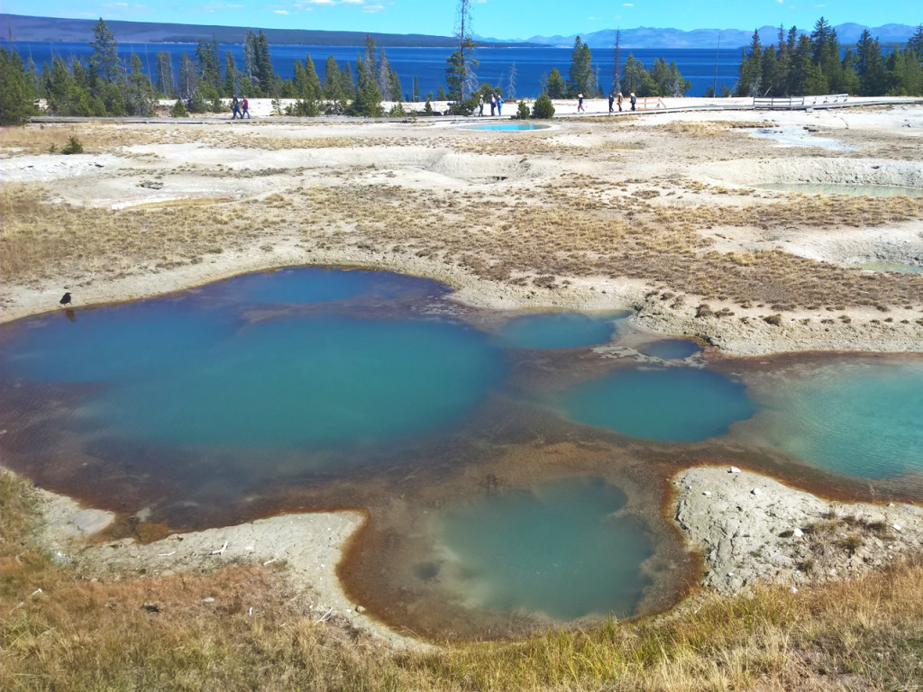 west-thumb-geyser-basin