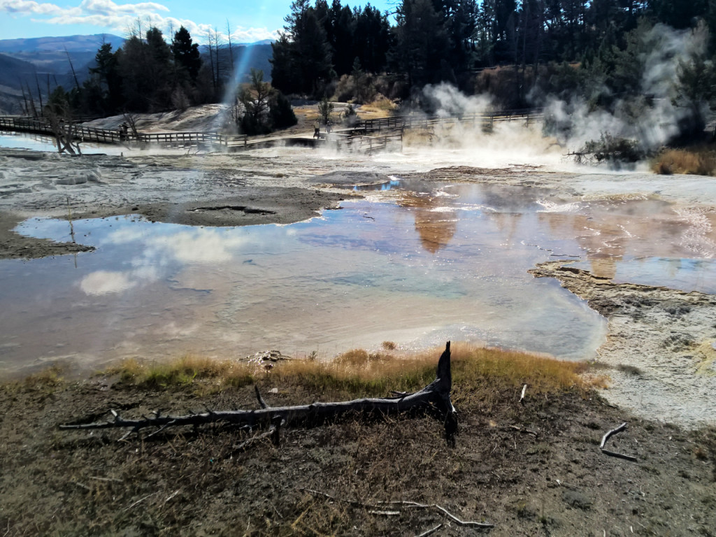 Bezienswaardigheden-Yellowstone-National-Park-Mammoth-Hot-Springs