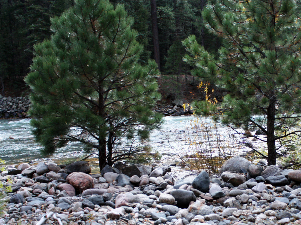 Natuur-treinrit-Durango-Silverton