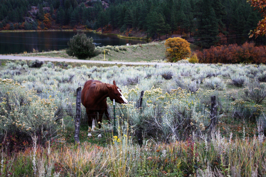 Onderweg-naar-Silverton-vanuit-Durango