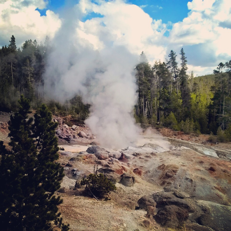 Yellowstone Instagram foto Amerikablog