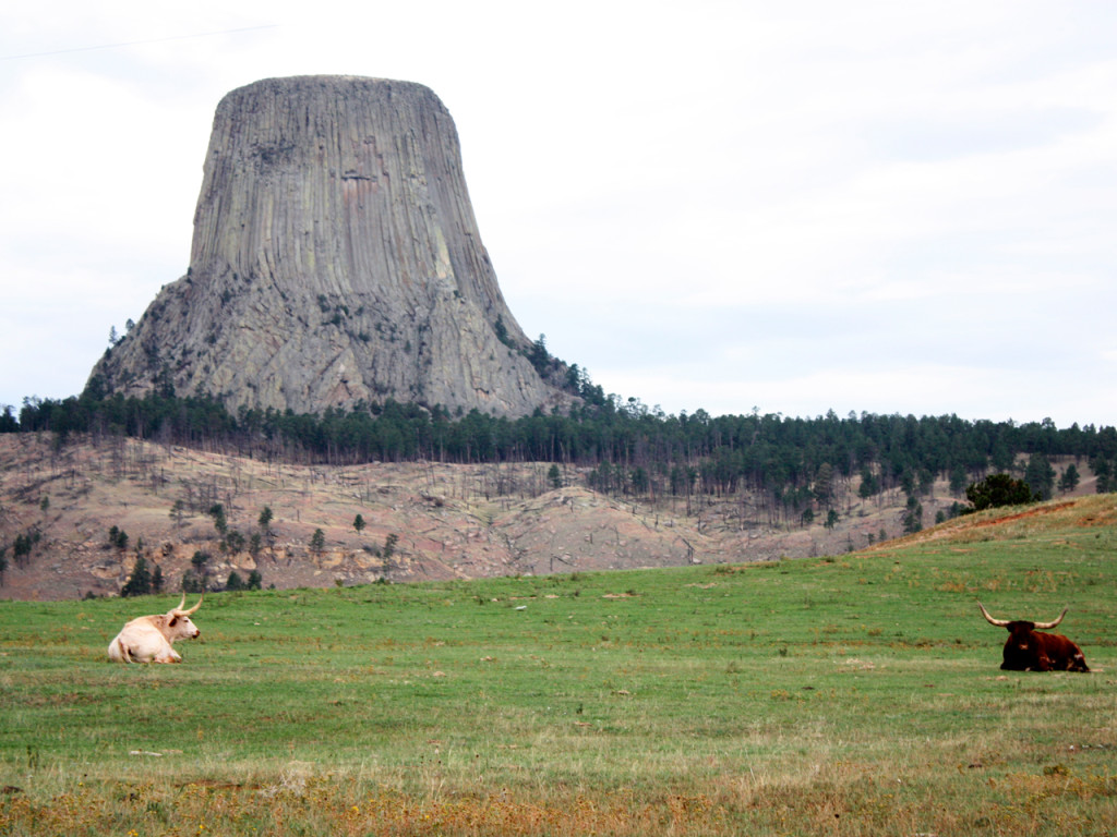 The-Black-Hills-in-Amerika-Devils-Tower