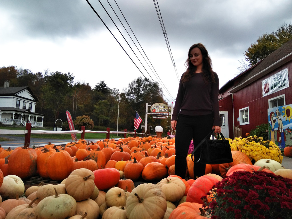 Pompoenen-in-Amerika-New-England