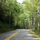 Rondje New York: Amerika reis dag 11: Great Smoky Mountains en jarig in Amerika