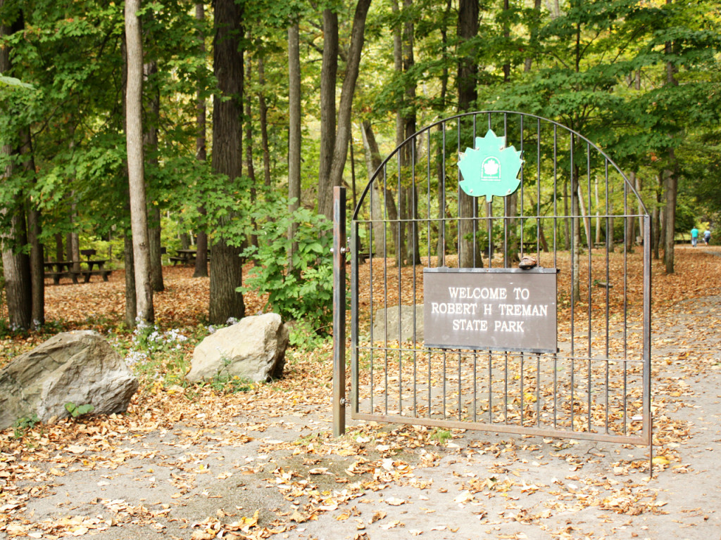 Gate-Robert-H.-Treman-State-Park