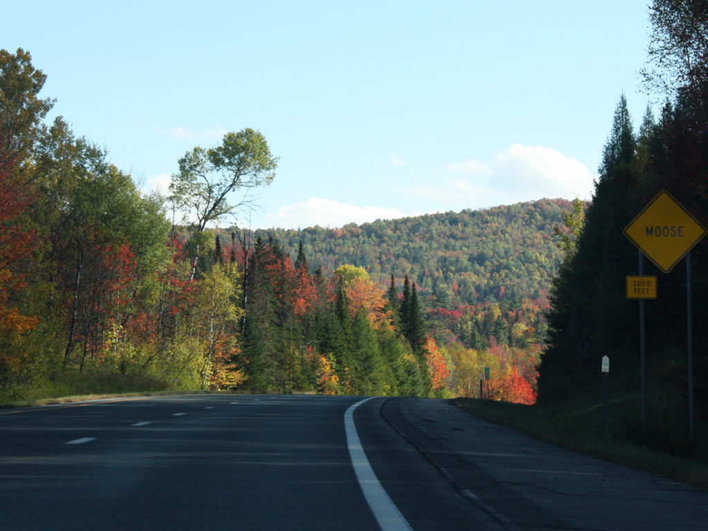 herfstkleuren-in-Amerika-vanuit-Canada-Moose-road-sign