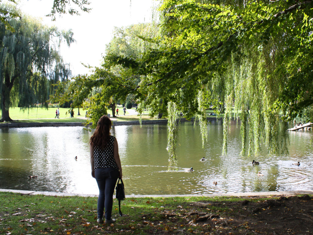 Boston-Park-Bianca