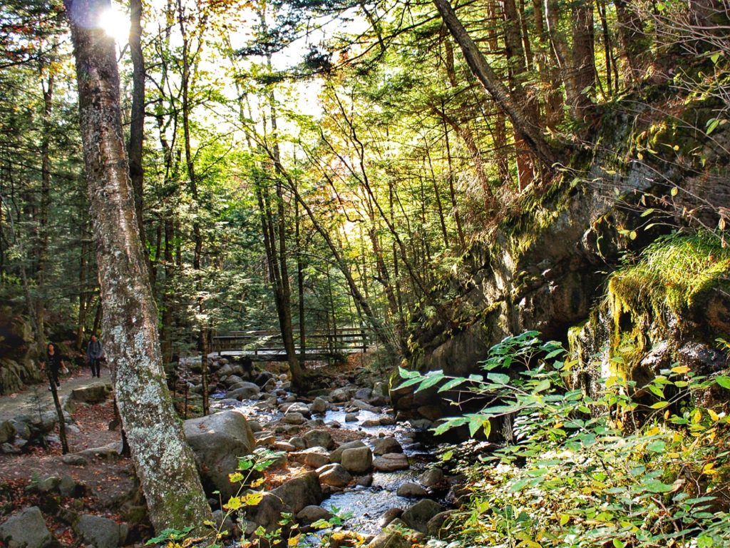 Flume Gorge bos Amerika wandelen