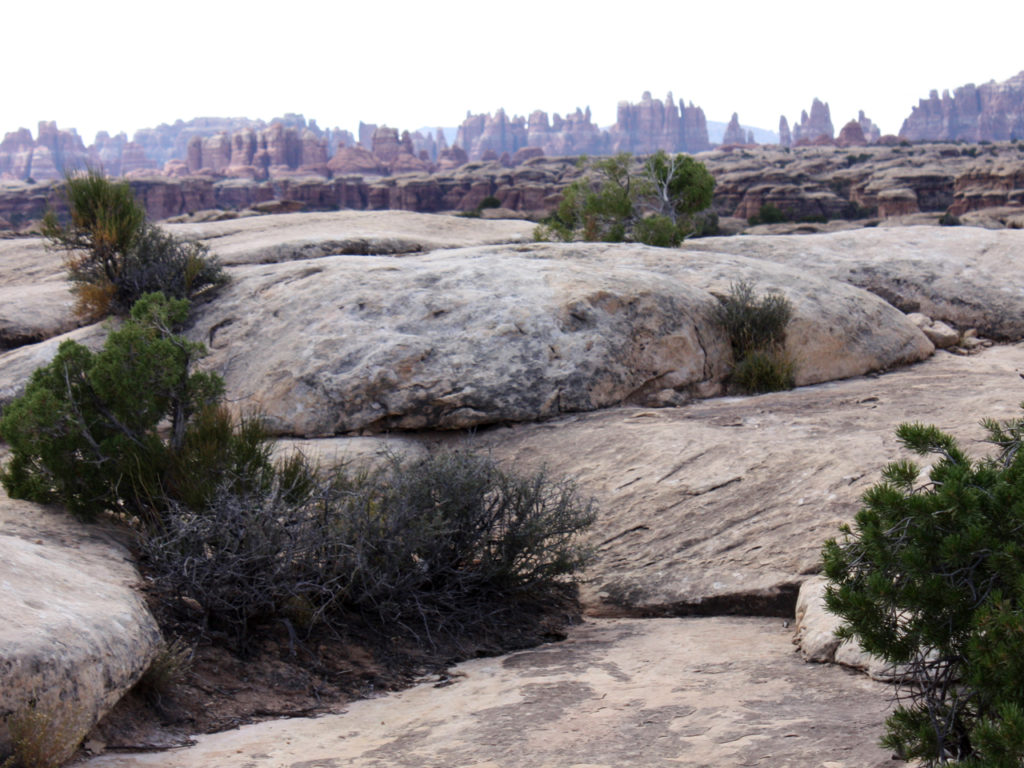 Needles-Canyonlands-National-Park