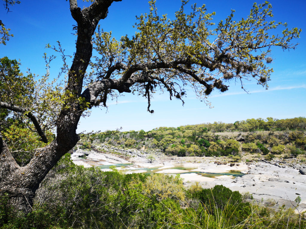 Wandelen-Pedernales-Fall-State-Park-Natuur-in-Texas