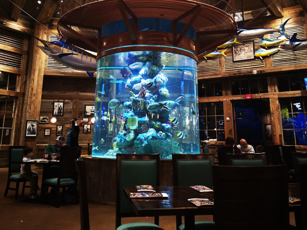Uncle-Buck-Fishbowl-&-Grill.Memphis