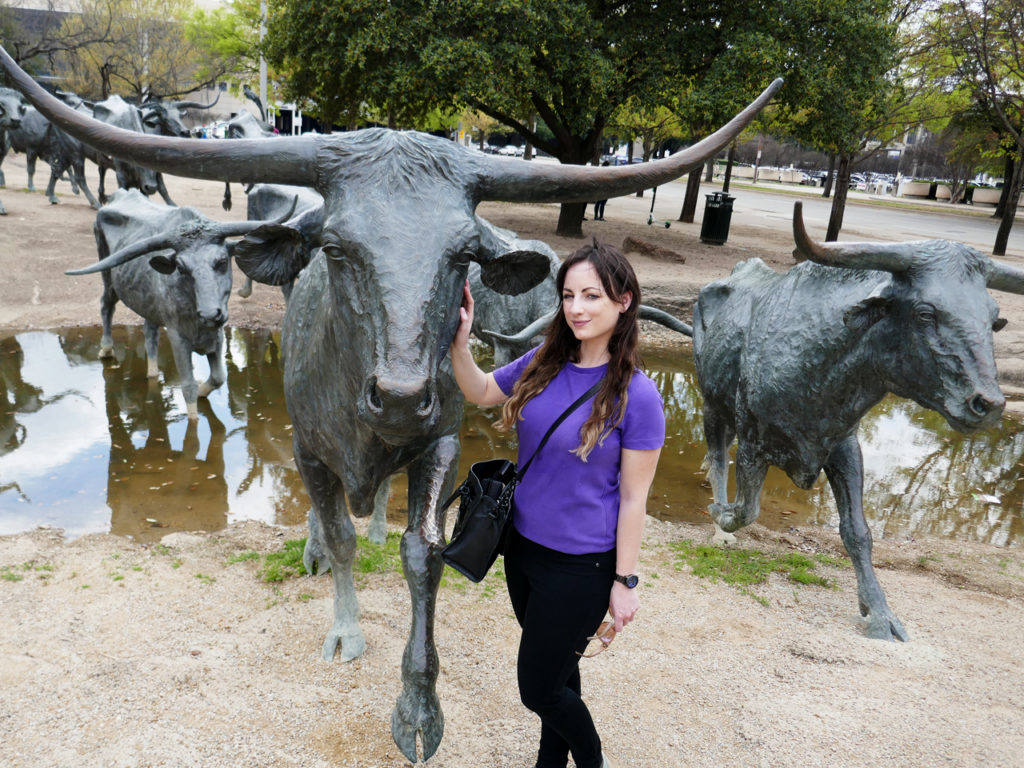 Dallas-Longhorn-Statues-Park