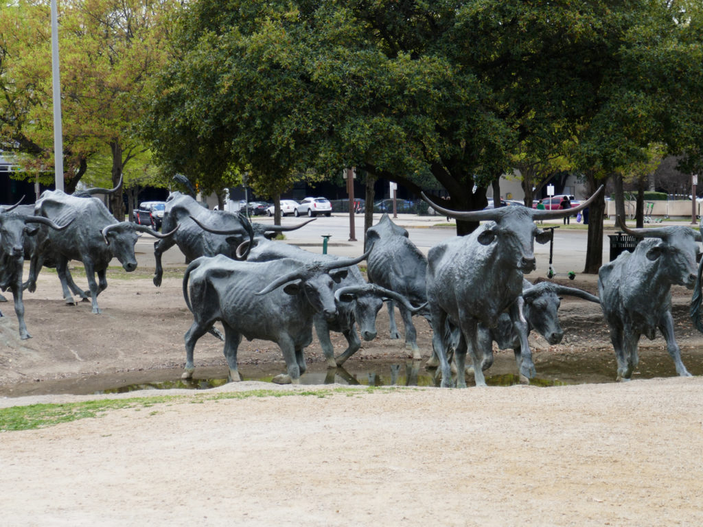 Running-Longhorns-cows-Pioneer-Plaza-statues-Dallas