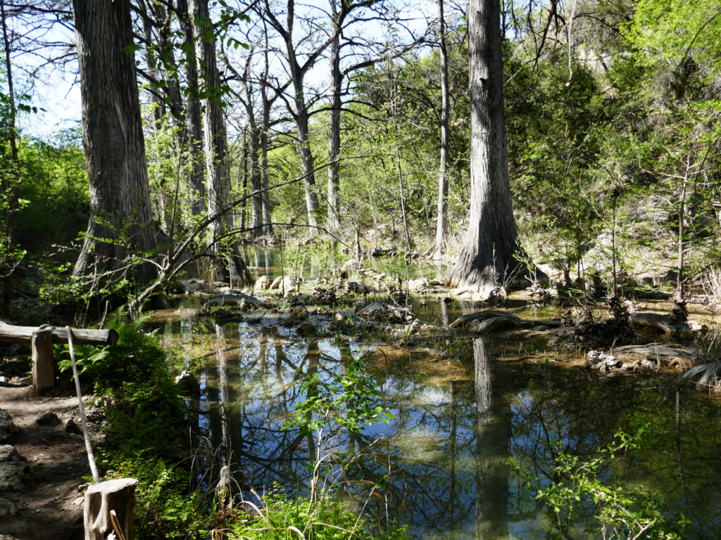 Hamilton-Pool-in-Texas-bos-