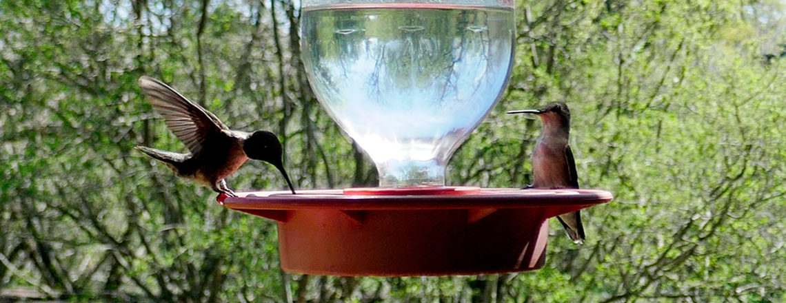 Stripes & Stars - Reis mee door Amerika! Blogs, Info, Tips & Roadtrip Tricks