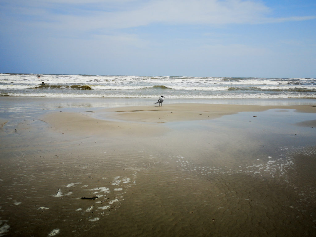 Texas-aan-zee-Golf-van-Mexico