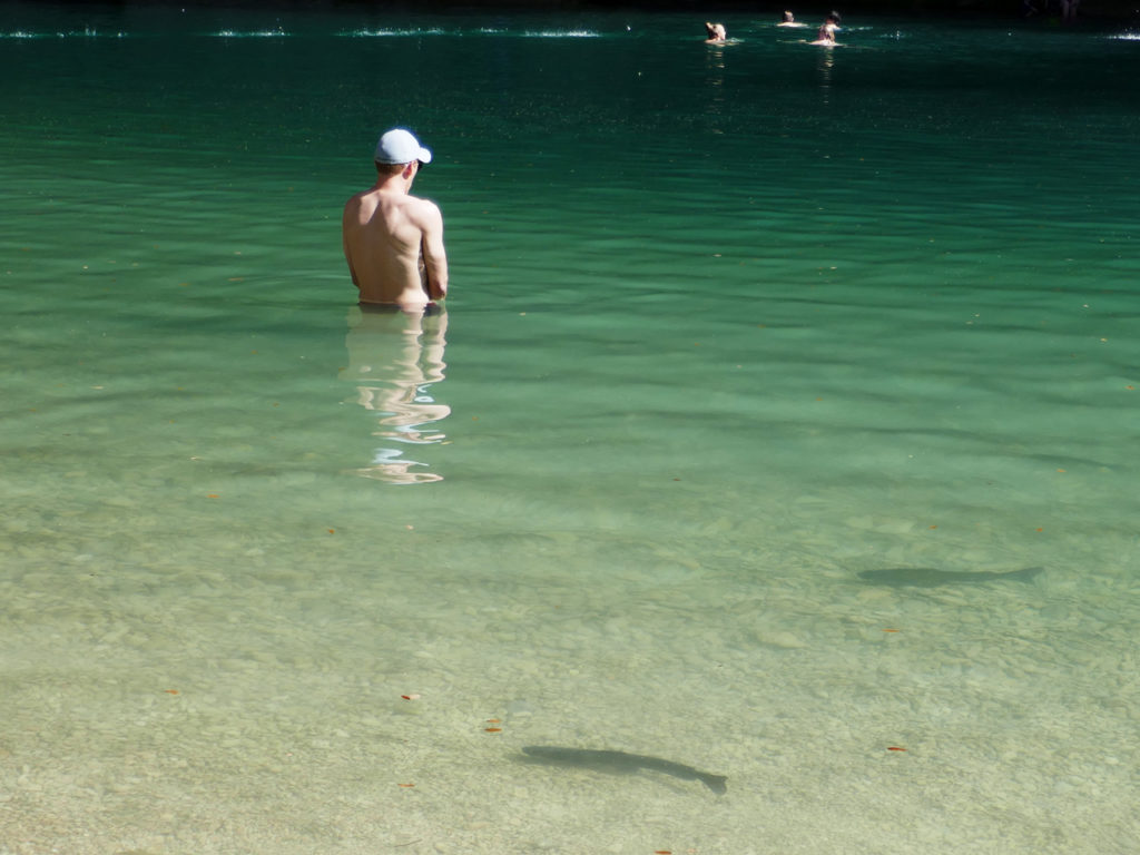 Vissen-in-Texas-Hamilton-Pool