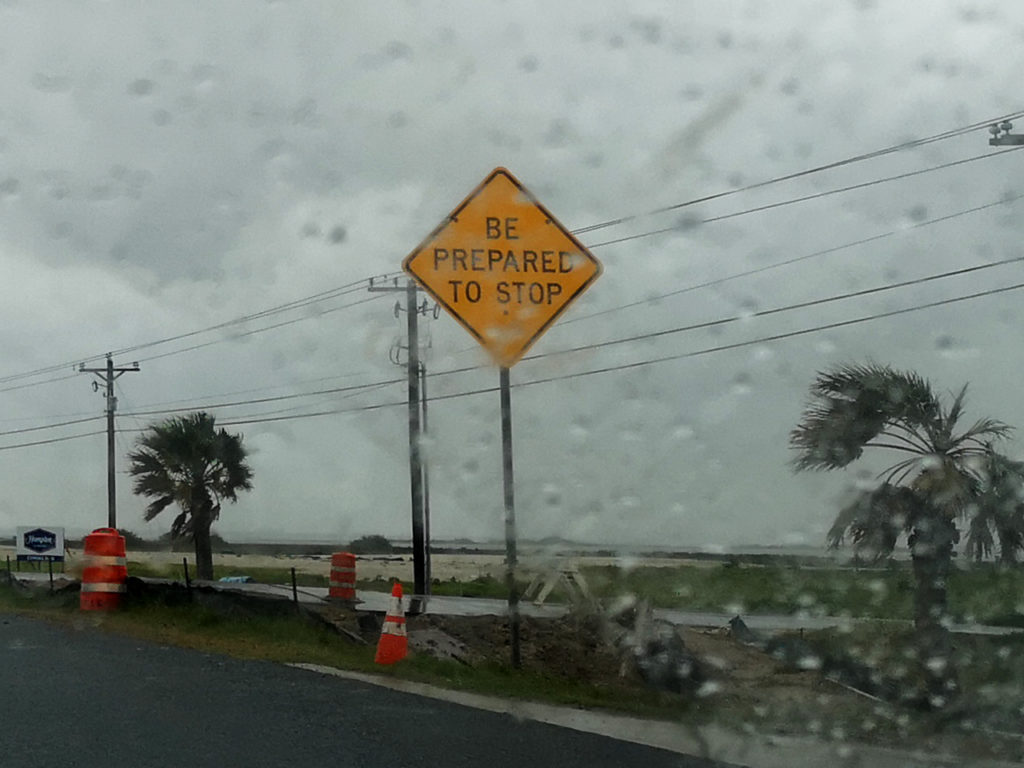 Regenachtig-in-Amerika-palmbomen