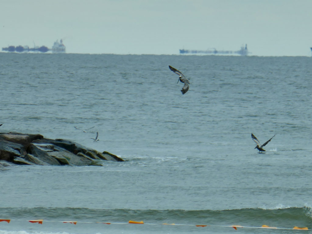 Schepen-Galveston-Zee