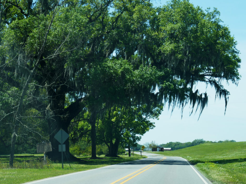 road-to-Oak-Alley-plantation